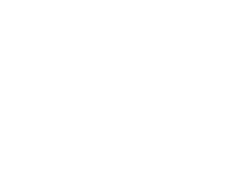 Netherlands Film Incentive