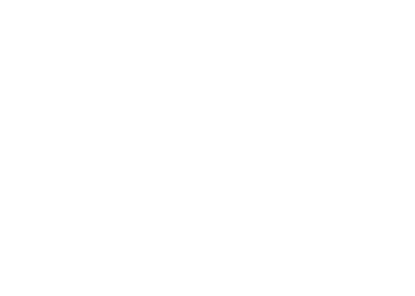 Stip Renovaties